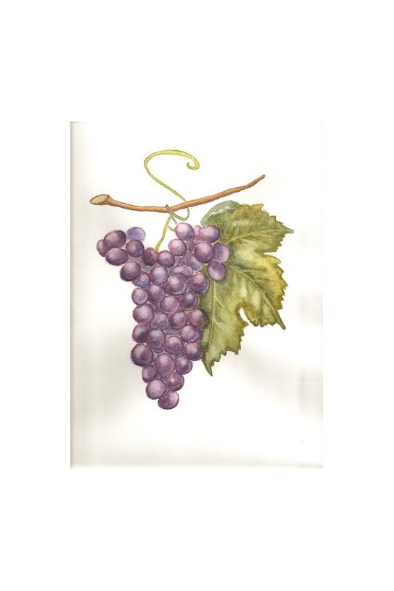 Thé du grand vignoble : thé noir raisin