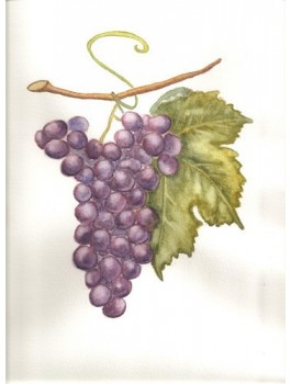 Thé du grand vignoble : thé noir raisin